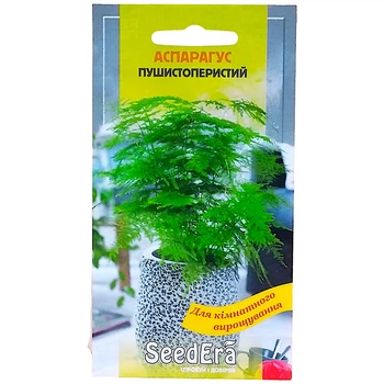 Семена аспарагус Пушистоперистый декоративный многолетник 0,1 г