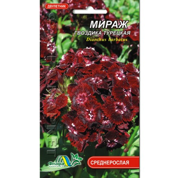 Семена гвоздика турецкая Мираж двухлетник среднерослый 0.15 г