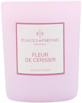 Ароматична свічка - Plantes&Parfums Cherry Blossom Perfumed Candle 180g (180g) (1266466-565205431-2)