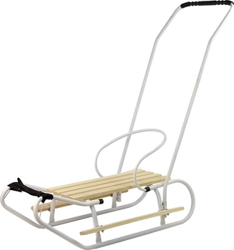 Металеві санки LEAN Toys з штовхачем 13364 White (5905323215955)