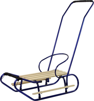 Металеві санки LEAN Toys з штовхачем 13366 Blue (5905323215931)
