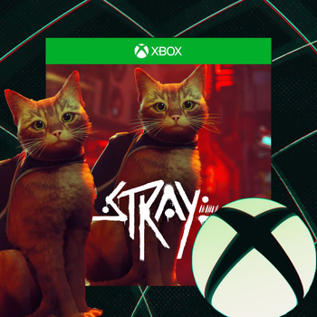 Гра STRAY для Xbox One и Xbox Series X/S + PC WINDOWS