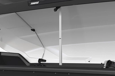 Ремені для боксу Thule lid pull straps (TH 695900)