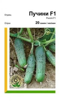 Огірок Пучині F1 — 20 насінин