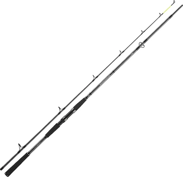Удилище спиннинговое Daiwa Seahunter X 2.70 м 30–60 г (11533-270)