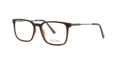 Оправа для очков Glory 780 Brown