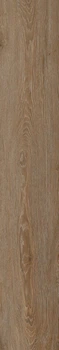 Керамічна плитка TEO Ceramics Bavaria Brown F PR 198x1200x8 R Mat 1 ( 1 м2 )