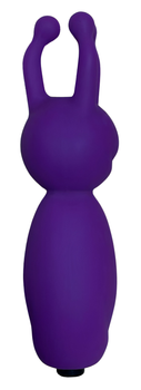 Вибратор Passion Bunny USB Фиолетовый (ROZ6501103868)