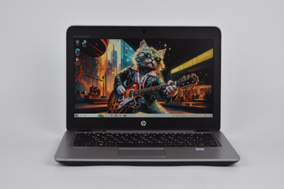 Ультрабук HP EliteBook 820 G3 i5-6200U / 8 гб / ssd 256 гб + hdd 320 гб / 12.5" IPS Full HD / Win10 (б/у) Ноутбук (1447)