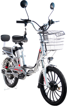 Електровелосипед Ardis Viaggio CTB ST 20" з двома сидіннями Сірий (4064Е)