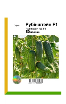 Семена огурца Рубинштейн F1, Bejo, 50 шт.