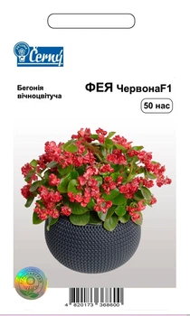 Семена цветов Бегония Фея, красная, Cerny, 50 шт.