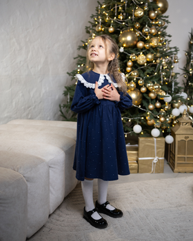 Плаття фланелеве Alwair kids Синій 74см 81053