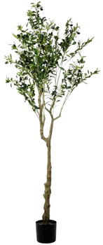 Sztuczna roślina Homla Tropical Zone Drzewko oliwne 180 cm (5904183877938)