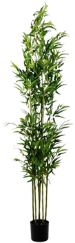 Sztuczna roślina Homla Tropical Zone Bambus 180 cm (5904183877914)