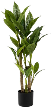 Штучна рослина Homla Tropical Zone Юка 90 см (5906496740589)