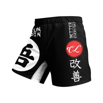 Шорты (Fight Shorts) Spirit мужские для занятий спортом (MMA кикбоксинг тайский бокс борьба спорзал бег) - XXL
