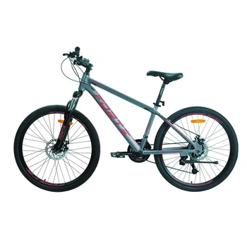 Велосипед Forte COMPASS 25.2719-16S к27.5" р19" серо-красный