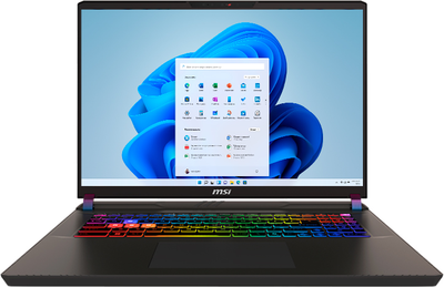 Ноутбук MSI Vector 17 HX AI A2XWIG-043UA (9S7-17S372-043) Cosmos Gray