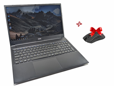 Ноутбук Toshiba Stonebook PR45A/ Ryzen 5 Pro 4500U/16 gb/ 256 gb/15.6'' FHD для роботи / для навчанняБ/В + безпровідна мишка у подарунок