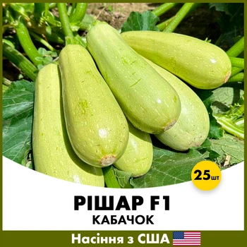 Кабачок Ришар F1, 25 шт, Семена из США