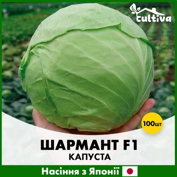 Белокочанная капуста Sakata Шармант F1, 100 шт