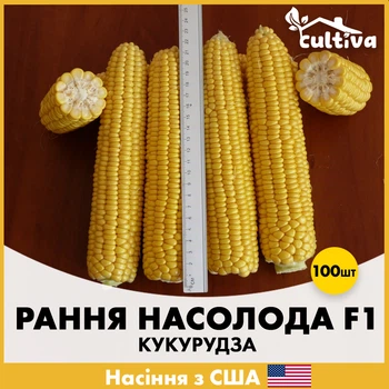Кукуруза Spark Seeds Раннее Наслаждение F1, 100 шт