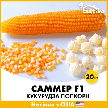 Кукуруза Попкорн Spark Seeds Саммер F1, 20 шт