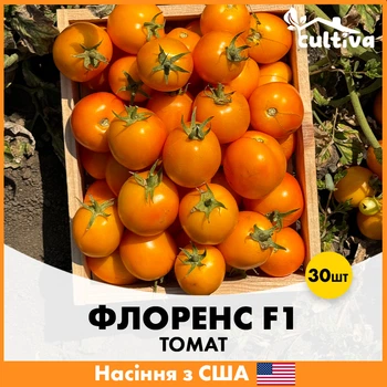 Томат Libra Seeds Флоренс F1 Желтый, 30 шт