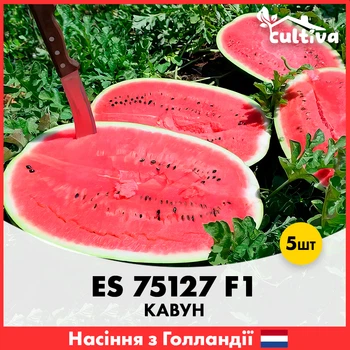 Арбуз Ergon Seed ES 75127 F1, 5 шт
