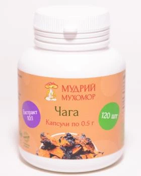 Чага березовая Мудрый Мухомор экстракт 10:1 капсулы по 0.5 г 120 шт (4agaExtraktK120)