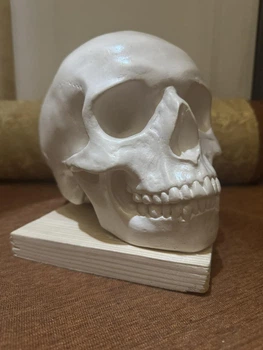 Череп людський лакерований декор White ABC handmade