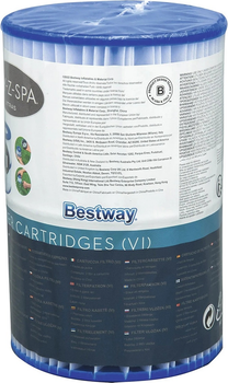 Набір фільтрів для насоса SPA Bestway Тип VI 60311 2 шт (6942138981155)