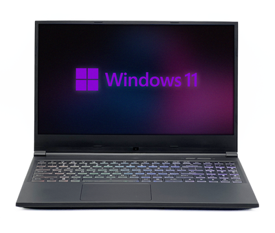 Ноутбук Maingear Vector MG-VCTR001-1660TI, i7-9750H, 32 GB, 480 GB, NVIDIA GeForce GTX 1660 Ti, 1920x1080, IPS [SH2505316] БУ