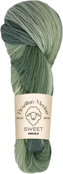 9019 BRAZILIAN MERINO SWEET пряжа (100% меринос .100г .300 м ), різнокольоровий