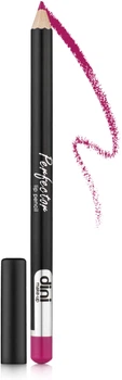 Карандаш для губ - Dini Lip Pencil 304 (973529-1241668-2)