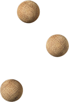 Набір магнітів Naga 2 см 3 шт (ZES5708573203204)