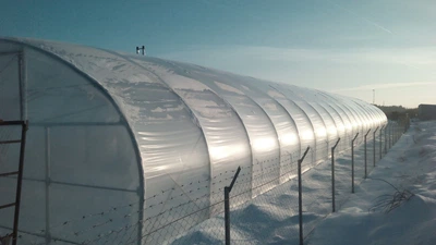 Теплиця Округла 5x6 розміром 5х6х3 м