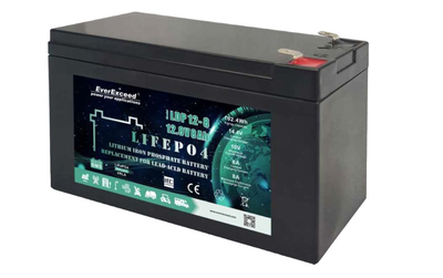 Аккумулятор EverExceed LDP 12-8 (12V8Ah) LiFePO4