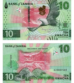 Банкнота Замбія 10 квач 2024 (2025) рік UNC
