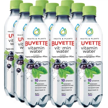 Упаковка напитка Buvette безалкогольного сокосодержащего Vitamin Water со вкусом черной смородины и мяты негазированный 0.5 л 9 шт (4820115401914) (066r)