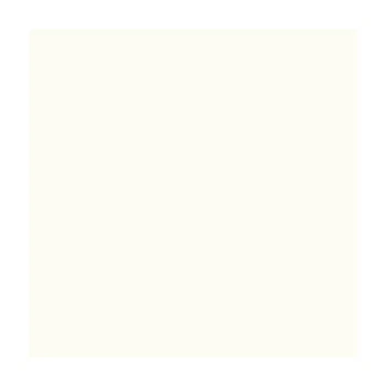 Бумага для дизайна Fotokarton B1 (70×100cм) No00 Белый 300г/м2 Folia