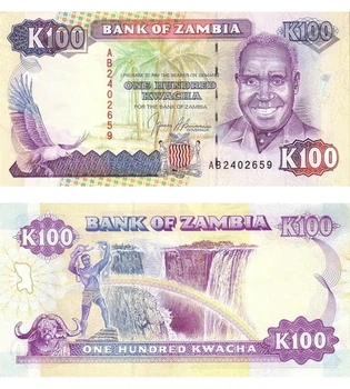 Банкнота Замбія 100 квача 1991 рік UNC