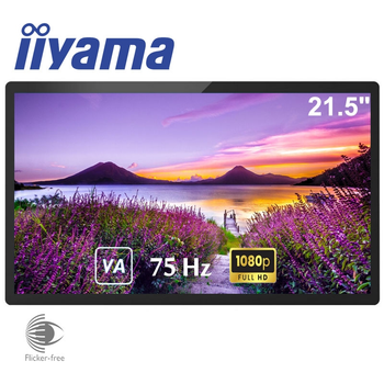 Монитор iiyama TW2223AS-B2 сенсорный VA 1920x1080 Full HD 21.5" / 4W