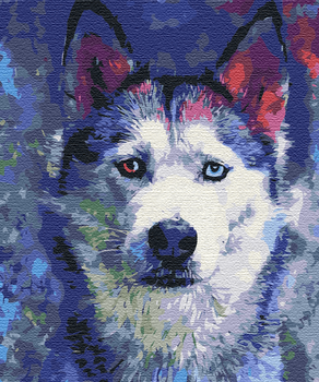 Картина по номерам. Животные. (Взгляд Хаски) (артикул BS51460L) размер 48x60 см.