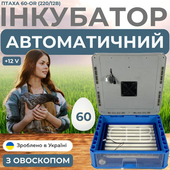 Автоматический инкубатор с овоскопом автоматическим переворотом на 60 яиц и питанием 2в1 Птаха 60-OR (220/12в)