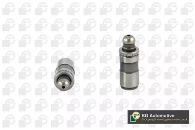 Штовхач клапана, гідрокомпенсатор Jumpy/Exper/Ducato/Passat/Golf/Mondeo/Focus 2.0TFSI/2.0-3.0HDi, BGA (HL5393)