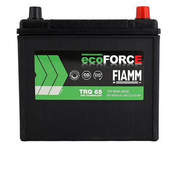 Автомобільний акумулятор FIAMM Ecoforce AFB Asia 12V 65Ah 650A R+ (TRQ65)