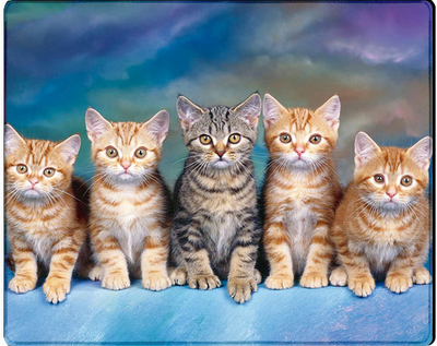 Ігрова поверхня Voltronic Five Cats Mixcolor (YT36453)