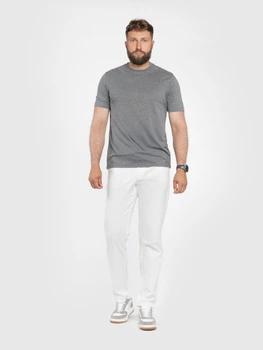 Футболка чоловіча сіра з бавовняго джерсі Arber T-SHIRT FF19 M зріст 4 сірий (M13.17.14.521)